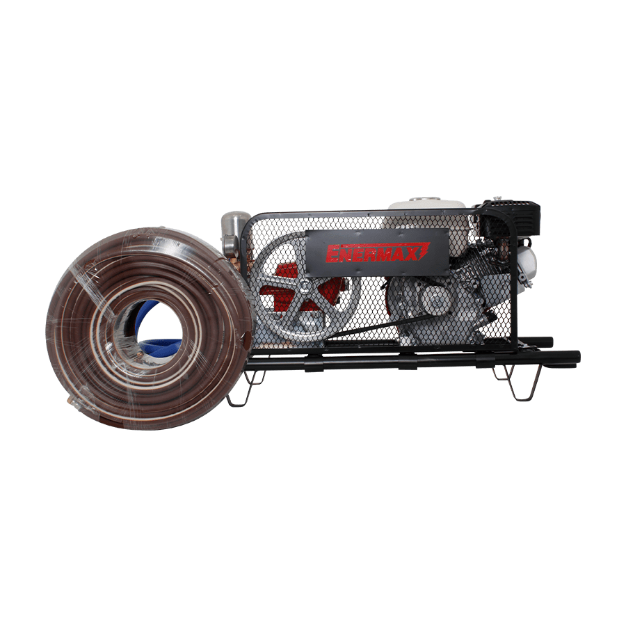 FUMIGADORA ENERMAX 3 PISTONES 5.5HP-20L