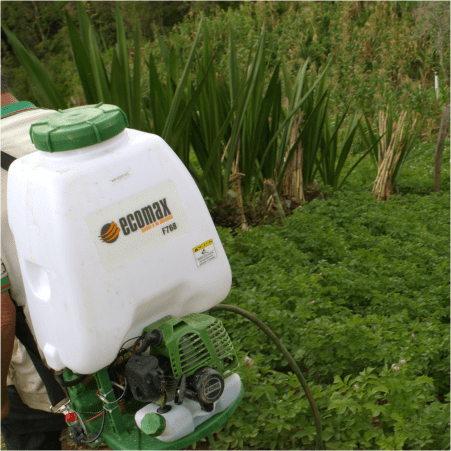 Fumigadora de espalda 2 tiempos Ecomax F768PRO